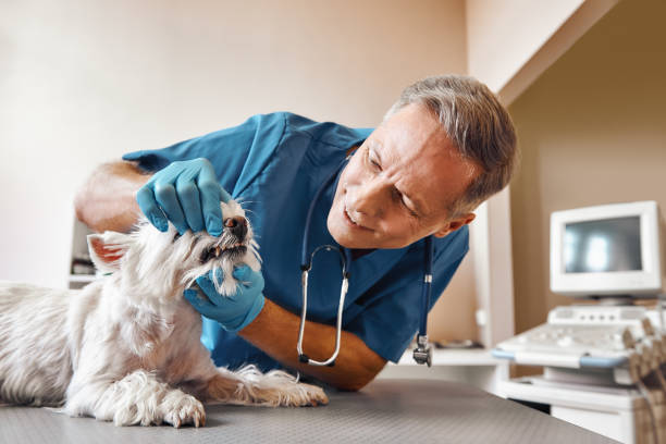 Best Same-Day Emergency Appointments in Moncks Corner, SC